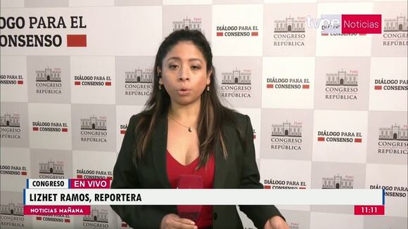 Declaraciones de Vladimir Cerrón