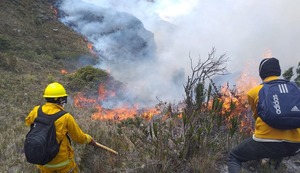 Nuevos focos de incendio complican la situación en áreas naturales protegidas