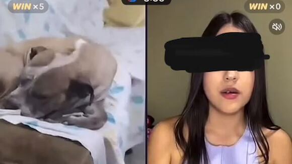 TROME - Luis Enrique Alvarado desafía a las autoridades tras denuncia por hostigamiento sexual: “Quiero que me metan preso conch....”