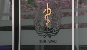 OMS confirma primera muerte humana mundial por gripe aviar H5N2 en México