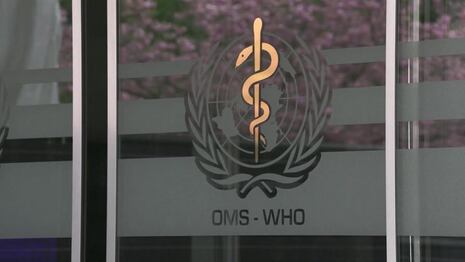 OMS confirma primera muerte humana mundial por gripe aviar H5N2 en México