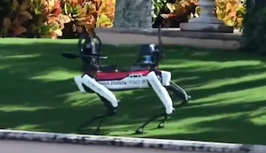 Servicio Secreto implementa perros robot para proteger a Trump tras su triunfo