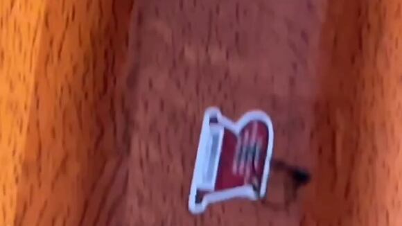 WhatsApp Video 2025-02-13 At 3.15.36 PM