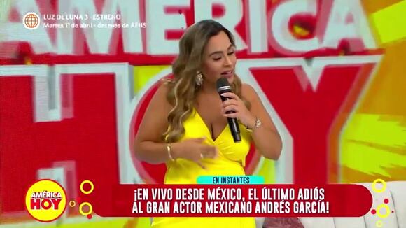¿Ethel Pozo hizo casting para estar en América Hoy?