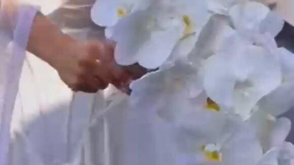 WhatsApp Video 2025-04-26 At 13.38.57 (2)