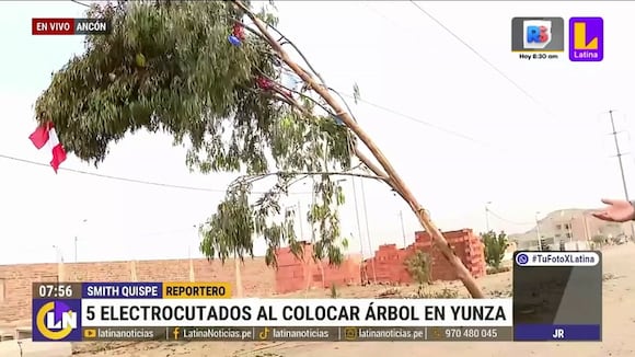 Ancón: Accidente al intentar alzar árbol de yunza 2