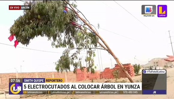 Ancón: Accidente al intentar alzar árbol de yunza 2