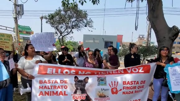 TROME | Realizan plantón frente a casa de sujeto que ahorcó a perrita Susu (@ somosvagabondis)