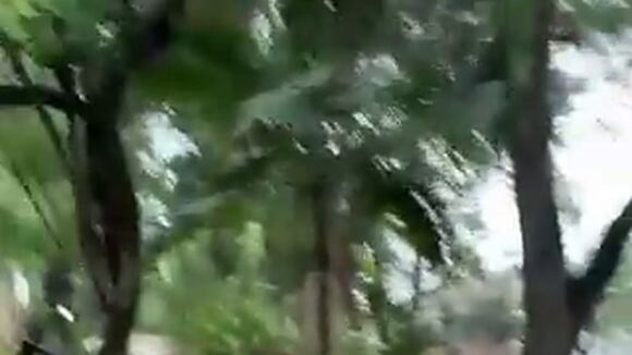 Ssstwitter.com 1678837462883