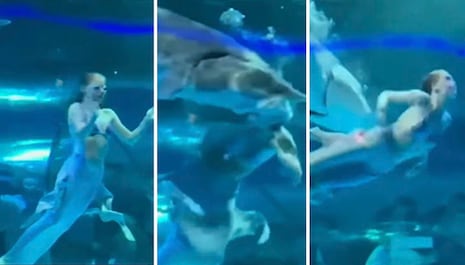 China: Mujer es atacada por pez gigante en acuario cuando hacía show como sirena