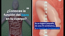 ¿Para qué sirve nuestro bazo?