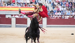 Andrés Roca Rey sufre espeluznante cornada durante presentación en la plaza de Las Ventas en Madrid | VIDEO