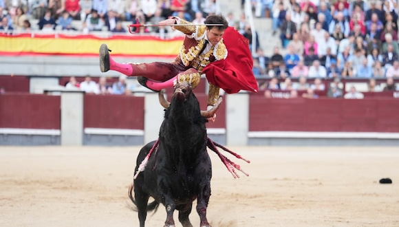 TROME | Cornada Andrés Roca Rey ( IG Plaza de las Ventas/ Foto: Agencias)