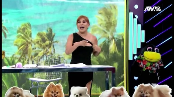 TROME | Magaly a puertas del Día de San Valentín: “Deseo ‘ampayar’ a alguien”