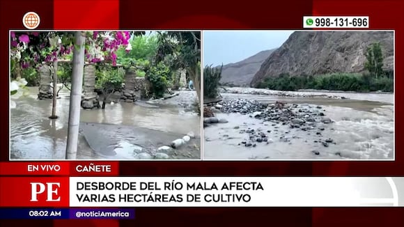 Cañete: desborde del río mala afecta varias hectáreas de cultivo