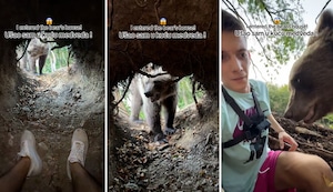 Influencer se enfrenta a un oso en su cueva y capta el momento en sorprendente video