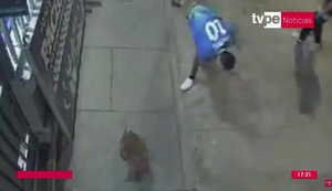 Maltrato animal en Piura: video revela ataque violento a un perro
