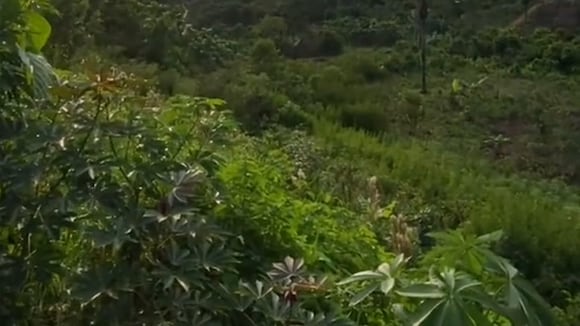 TROME | Español en TikTok