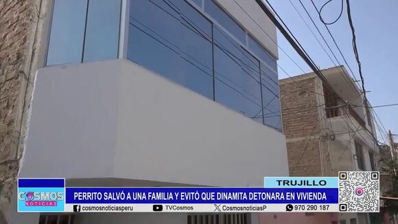 TROME - Perrito callejero orina sobre dinamita y salva a familia de extorsionadores en Trujillo