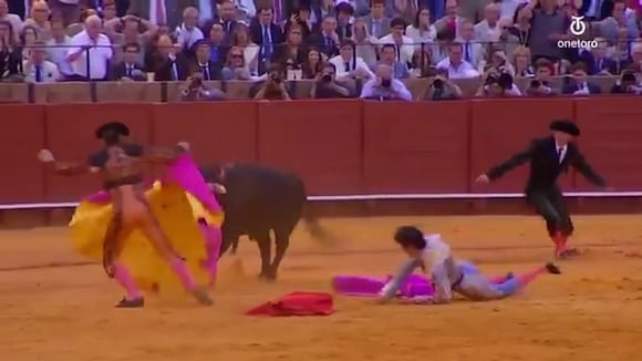 Andrés Roca Rey sufre cogida de toro en Sevilla (Foto: @OneToroTV)