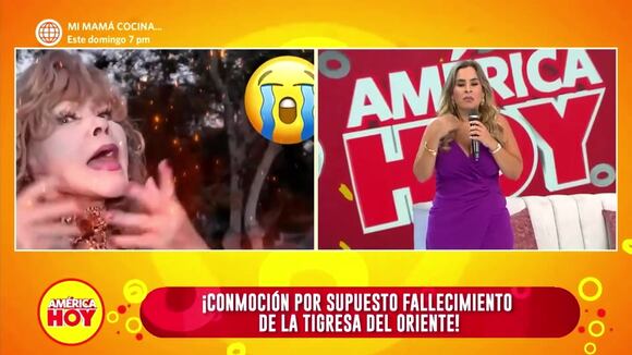 Critican a reportero por llamar a la Tigresa del Oriente