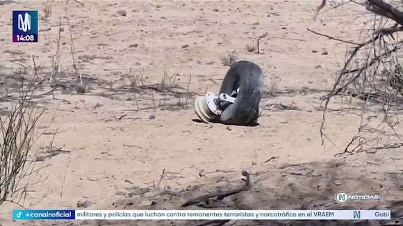 TROME- ¡Tragedia en Nasca! Avioneta se estrella y deja 12 muertos, entre ellos turistas extranjeros