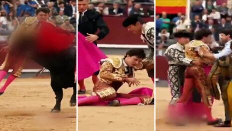 Andrés Roca Rey gravemente herido tras sufrir una terrible cornada en Madrid