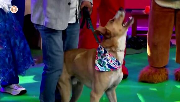 Festejan el cumpleaños de Vaguito