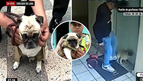 Cercado de Lima: Estudiante de medicina fue detenido por agredir violentamente a su perrito