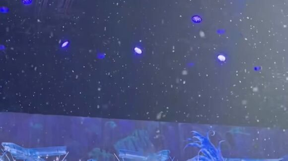 TROME | Natalia Salas viaje a los Estados Unidos (Instagram)