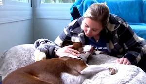 Clonar a tu mascota podría costarte 50 mil dólares en Estados Unidos