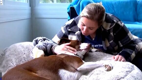 Estados Unidos: avanza el controversial negocio de clonación de mascotas