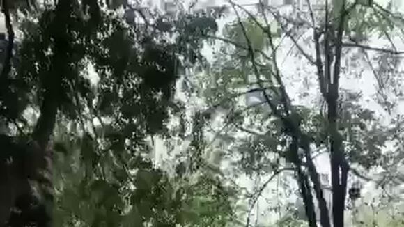 TROME - Shirley y Patrick