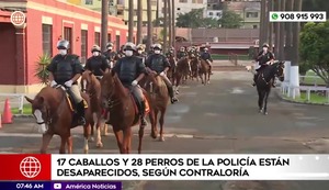 Inspección de la Contraloría encontró discrepancias, tras la pérdida de caballos y perros de la PNP