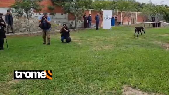 TROME | Figo volvió a casa