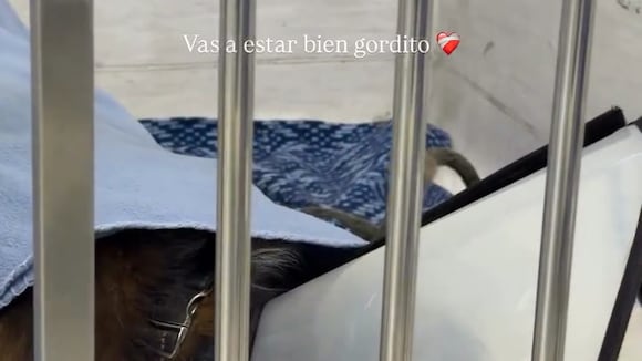 Valeria Piazza enfrenta duro momento por el delicado estado de salud de un integrante de su familia