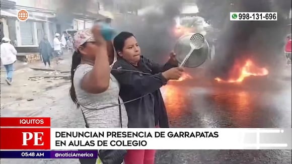 Iquitos: Padres denuncian presencia de garrapatas en aulas de colegio