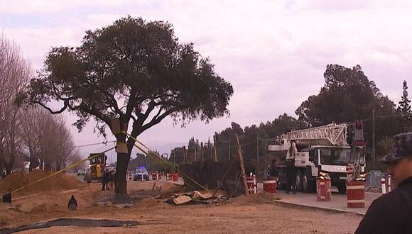 Traslado de un árbol de casi 300 años provoca protestas en Argentina