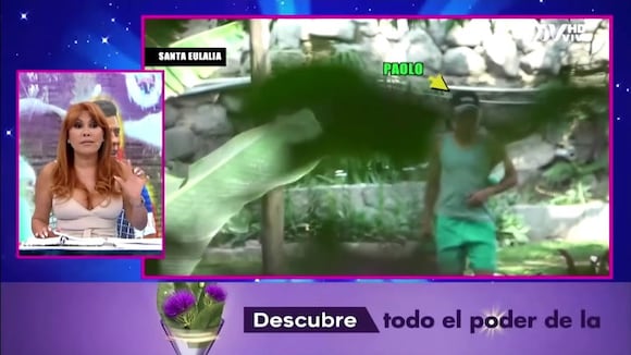 TROME | Paolo Hurtado se habría comunicado con la abogada de Rosa Fuentes para conciliar, según Magaly