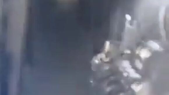 Ssstwitter.com 1695258860350