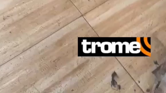 TROME - Deysi Araujo