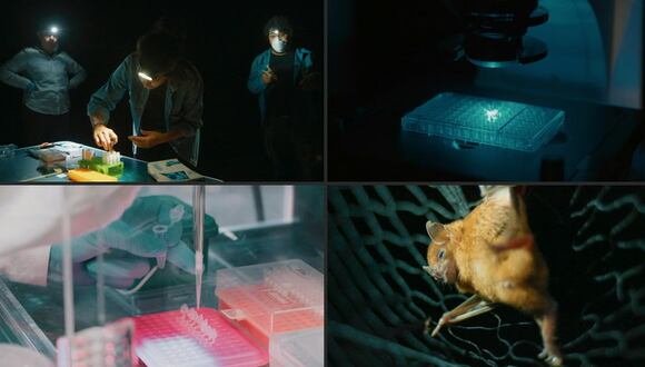 México: Científicos rastrean virus que podrían desatar nuevas pandemias