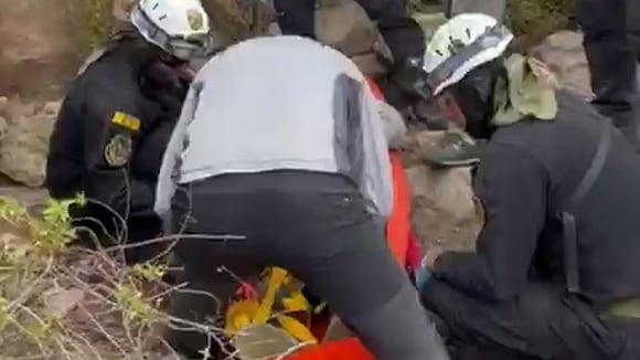 Ssstwitter.com 1738379412194