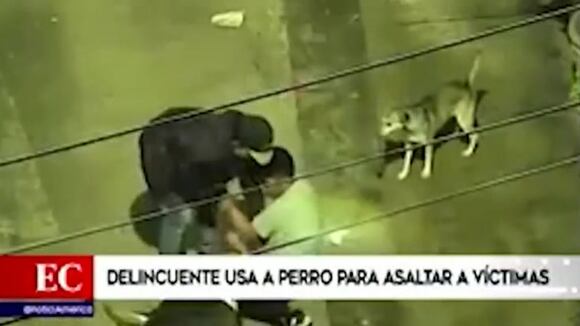 Delincuente usa a su perro pitbull para asaltar a transeúntes en VES