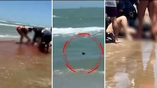Ataque de tiburón deja dos personas gravemente heridas en Estados Unidos