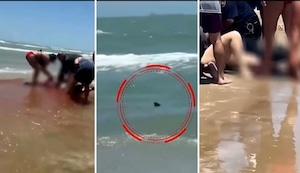 Ataque de tiburón deja dos personas gravemente heridas en Estados Unidos