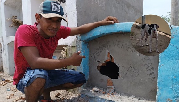 Chiclayo: Encierran en tumba a perrita.