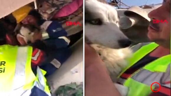 Turquía: Rescatan a un perro tres semanas después del terremoto