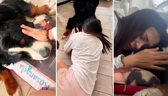 Rosángela Espinoza comparte desgarrador video por la muerte de su mascota