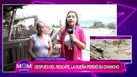 Dueña del chanchito rescatado hace denuncia